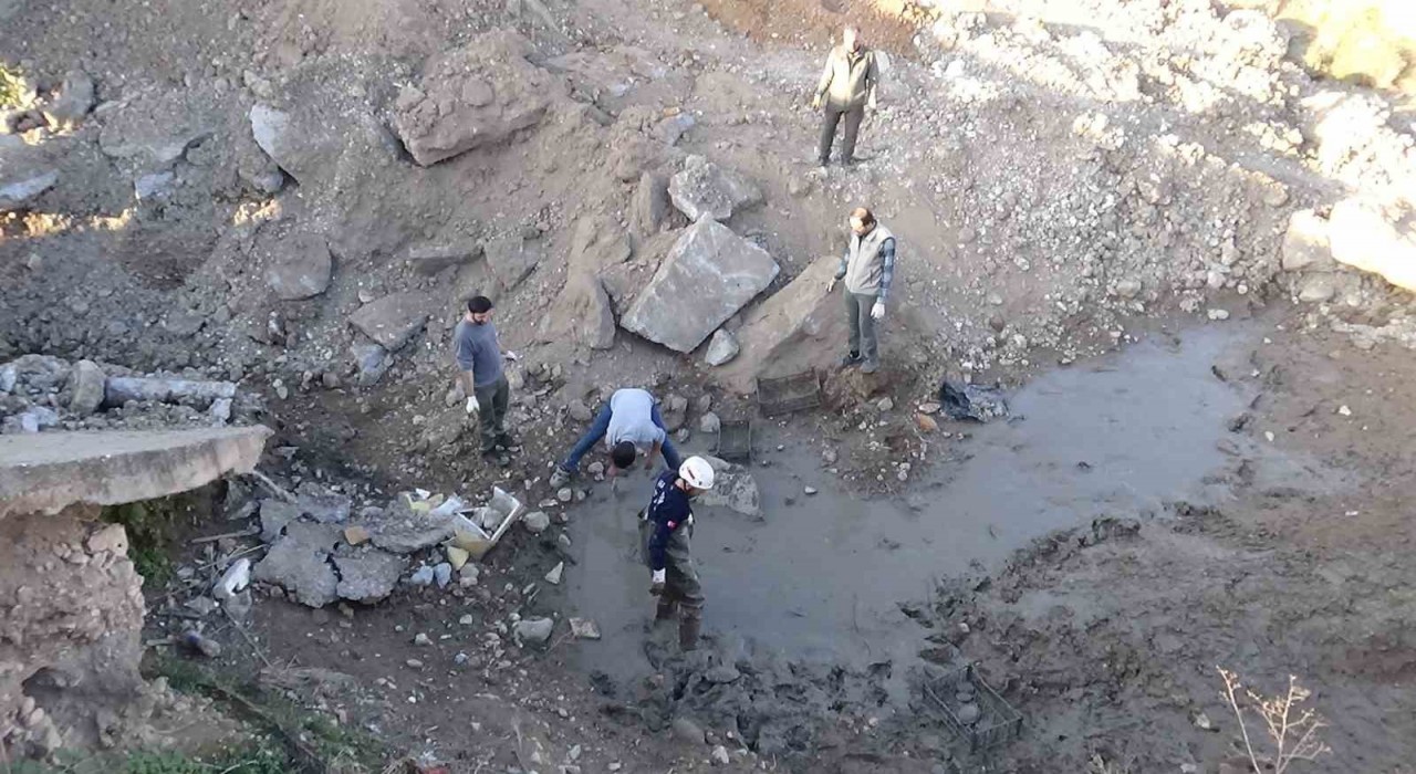 Şanlıurfada çamur bataklığında mahsur kalan 240 kaplumbağa kurtarıldı
