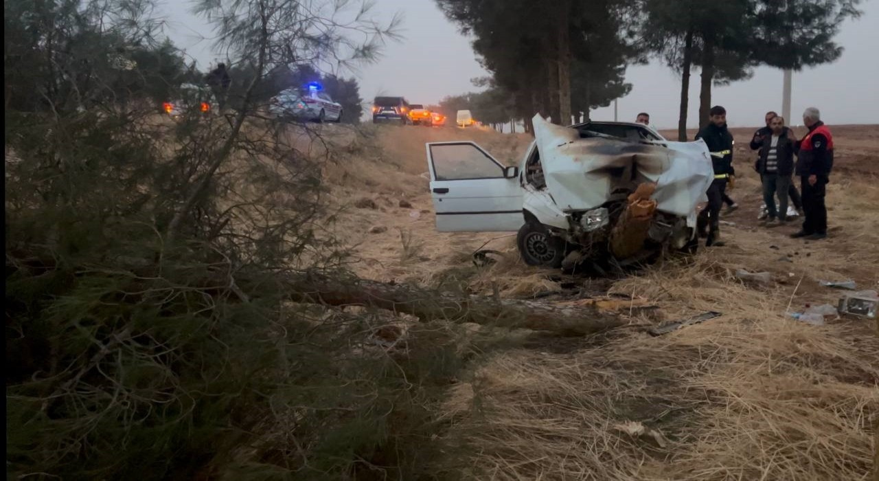 Şanlıurfada otomobil ağaca çarptı: 4 yaralı