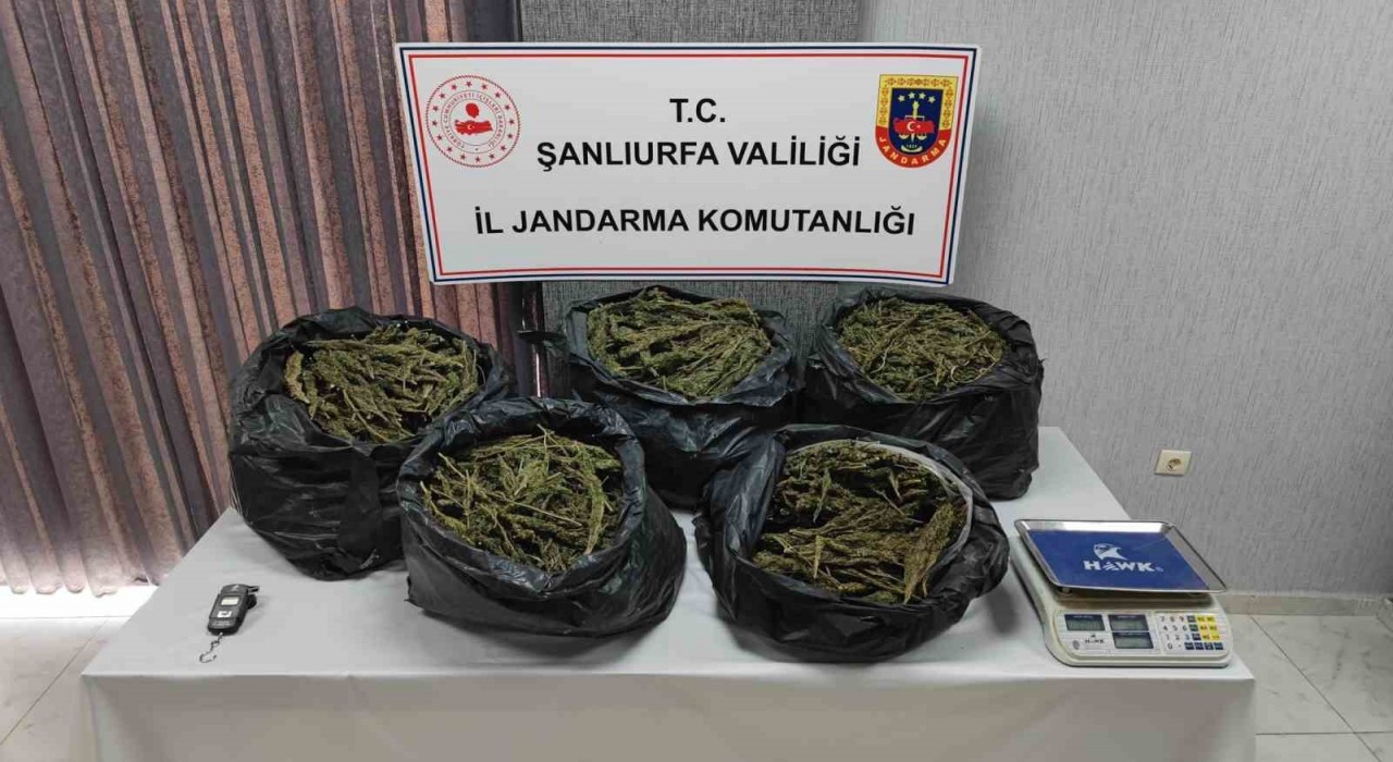 Şanlıurfada silah ve uyuşturucu madde ele geçirildi: 7 gözaltı