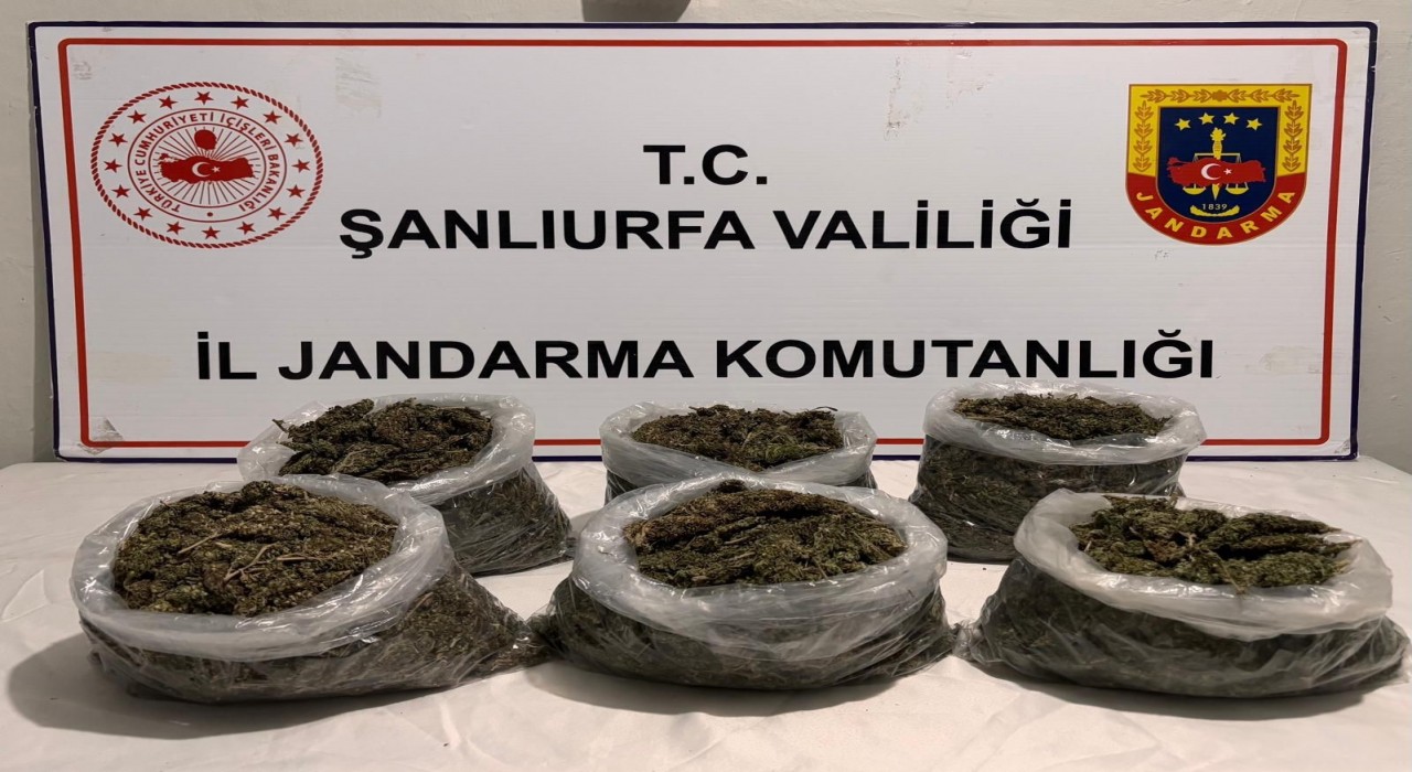 Şanlıurfada uyuşturucu operasyonu: 16 gözaltı