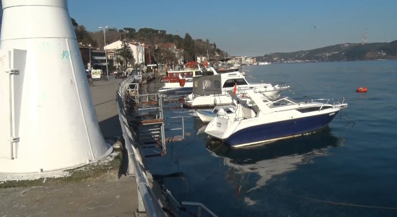 Sarıyerde binlerce denizanası kıyıya vurdu