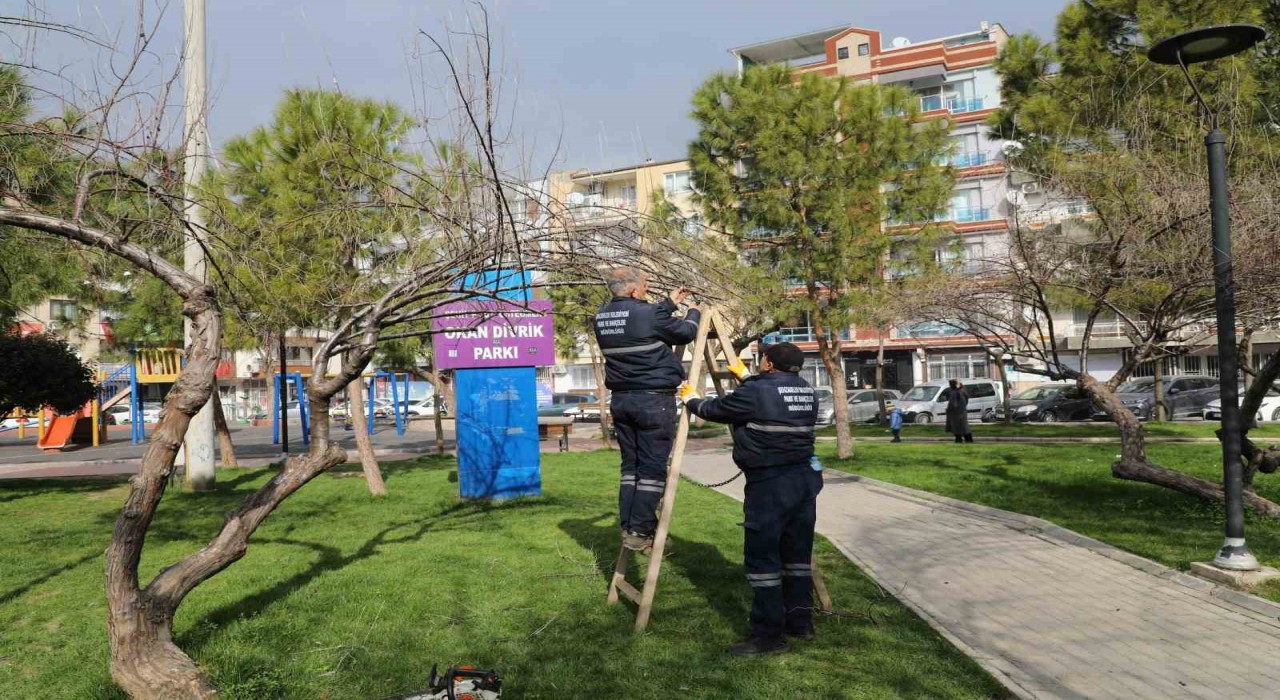 Şehzadelerde park ve bahçelerde bakım çalışmaları sürüyor