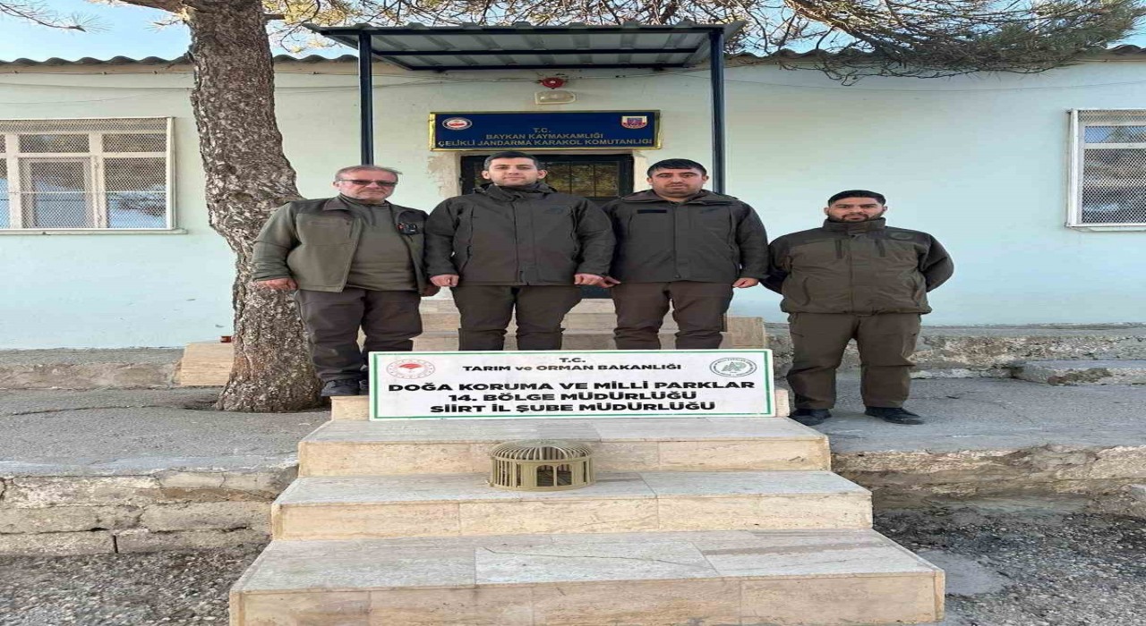 Siirtte kaçak avlanan keklikler doğaya bırakıldı