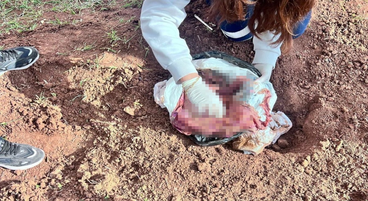 Şırnakta bebek cinayetine 2 tutuklama