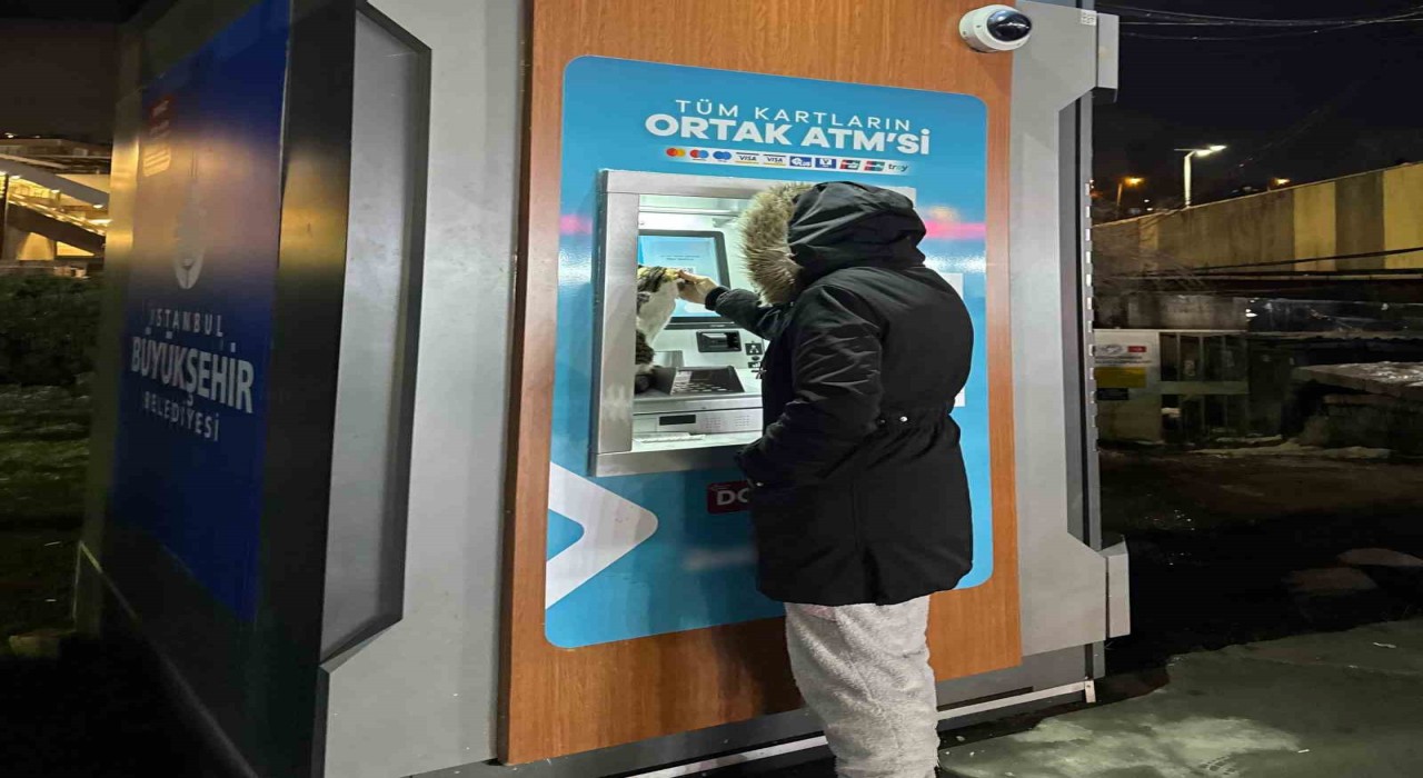 Soğuk havada üşüyen kedi, banka ATMsine sığındı