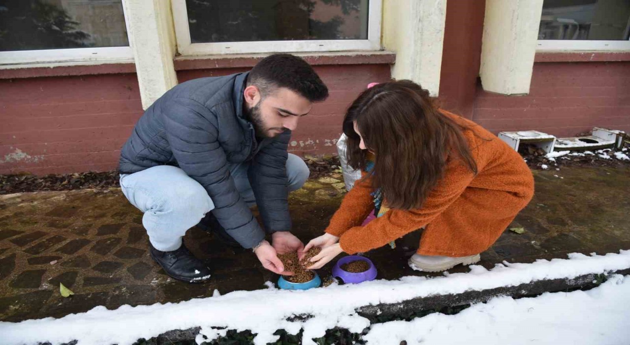 Soğuk havalarda sokak hayvanlarına OMÜden sıcak yardım