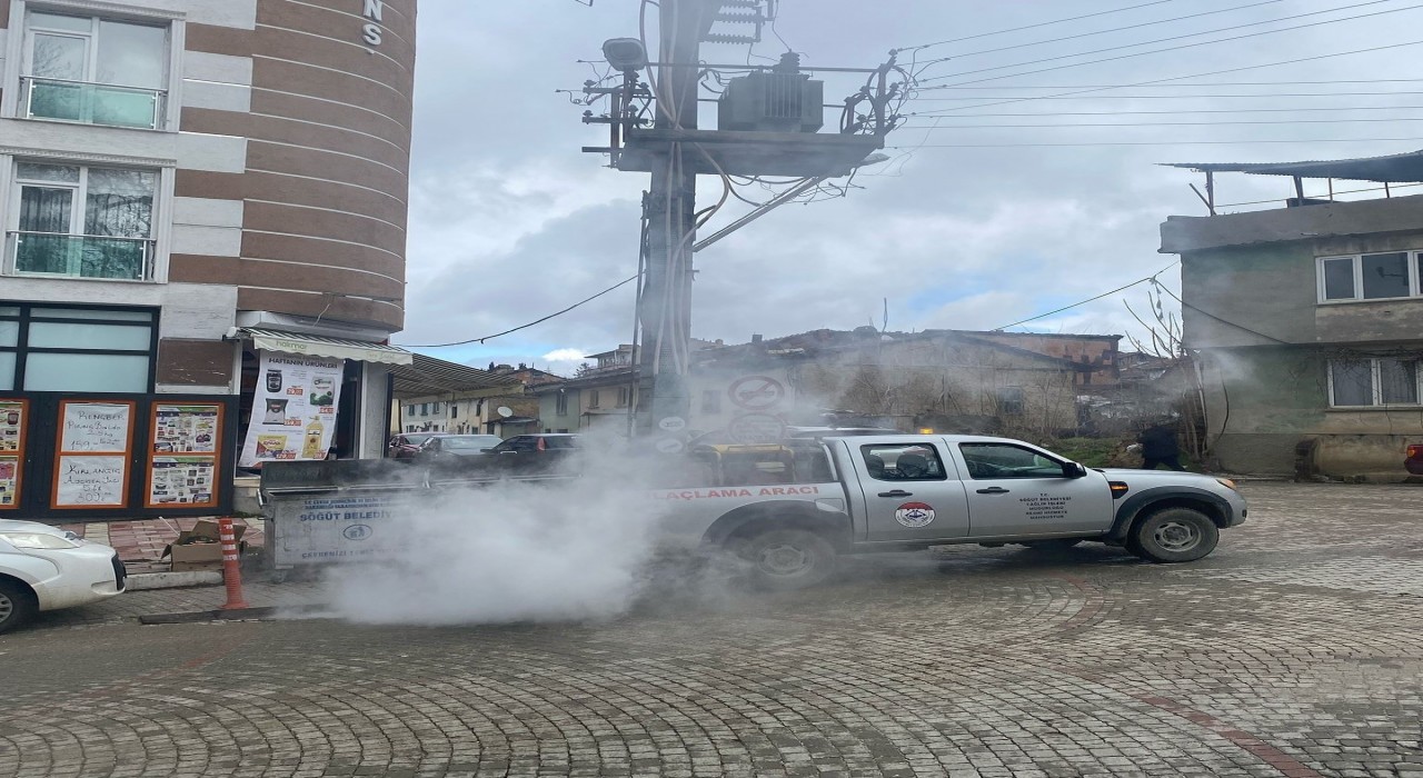 Söğüt Belediyesinden sinek ve larva ilaçlama atağı