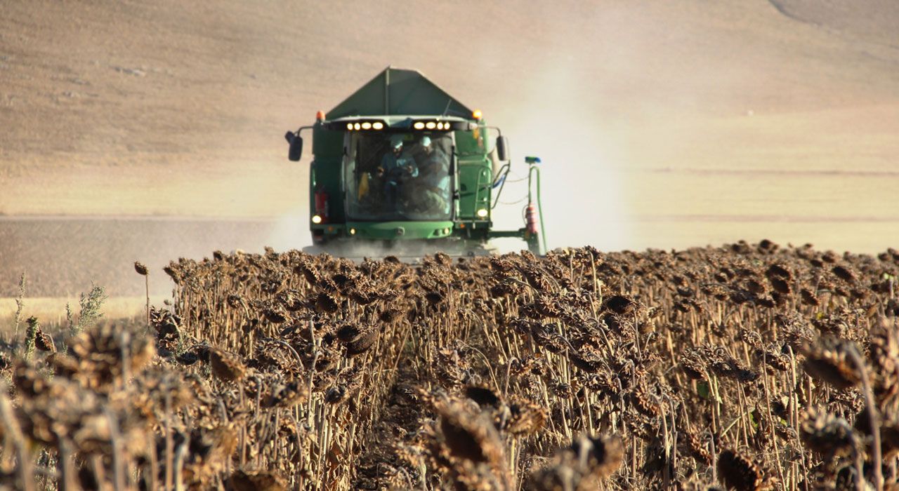 Tarım ÜFE Ocak 2025'te Yıllık %35,54, Aylık %2,74 Arttı