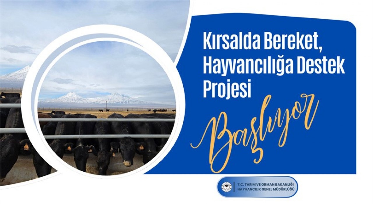 Tarım ve Orman Bakanlığından hayvan yetiştiricilerine gebe düve desteği