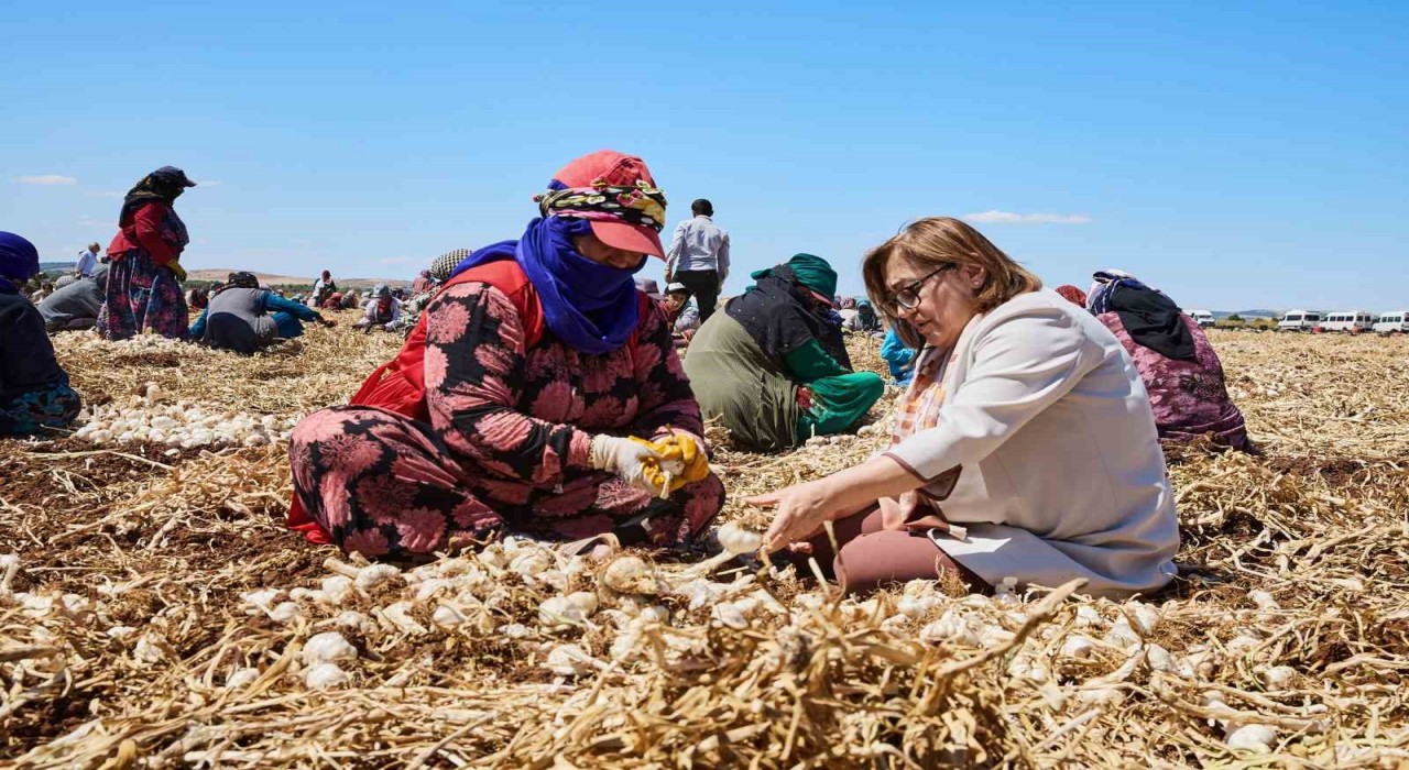 Tarım zirvesi başlıyor, sektörün öncüleri Gaziantepte buluşuyor