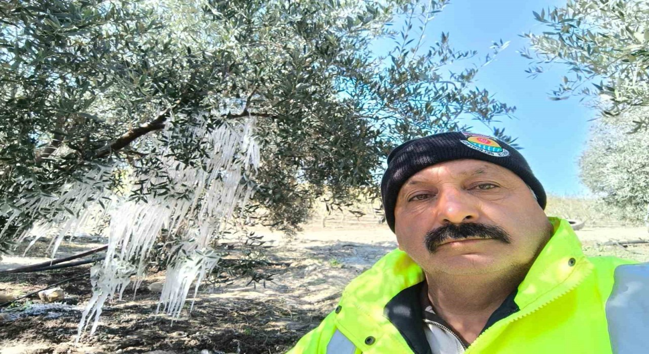 Tarsusta ağaçlarda buz sarkıtları oluştu