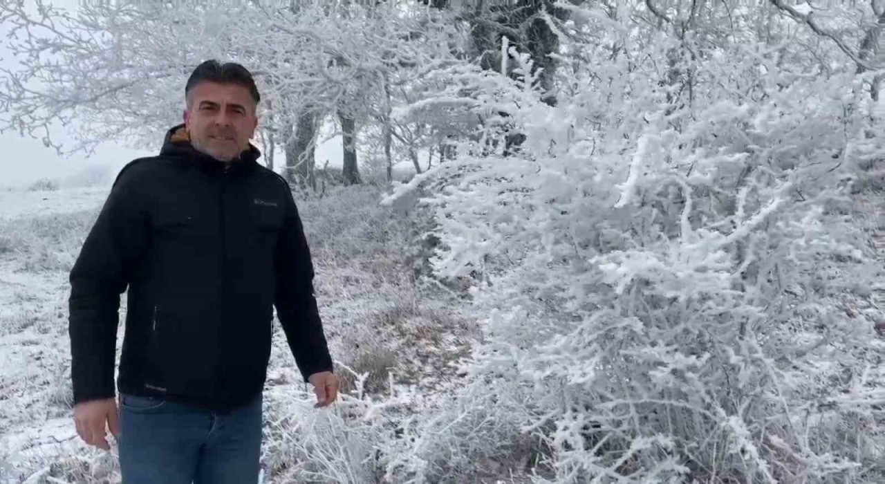 Tekirdağda ilginç doğa görüntüsü: Bir yanda bahar, bir yanda kış