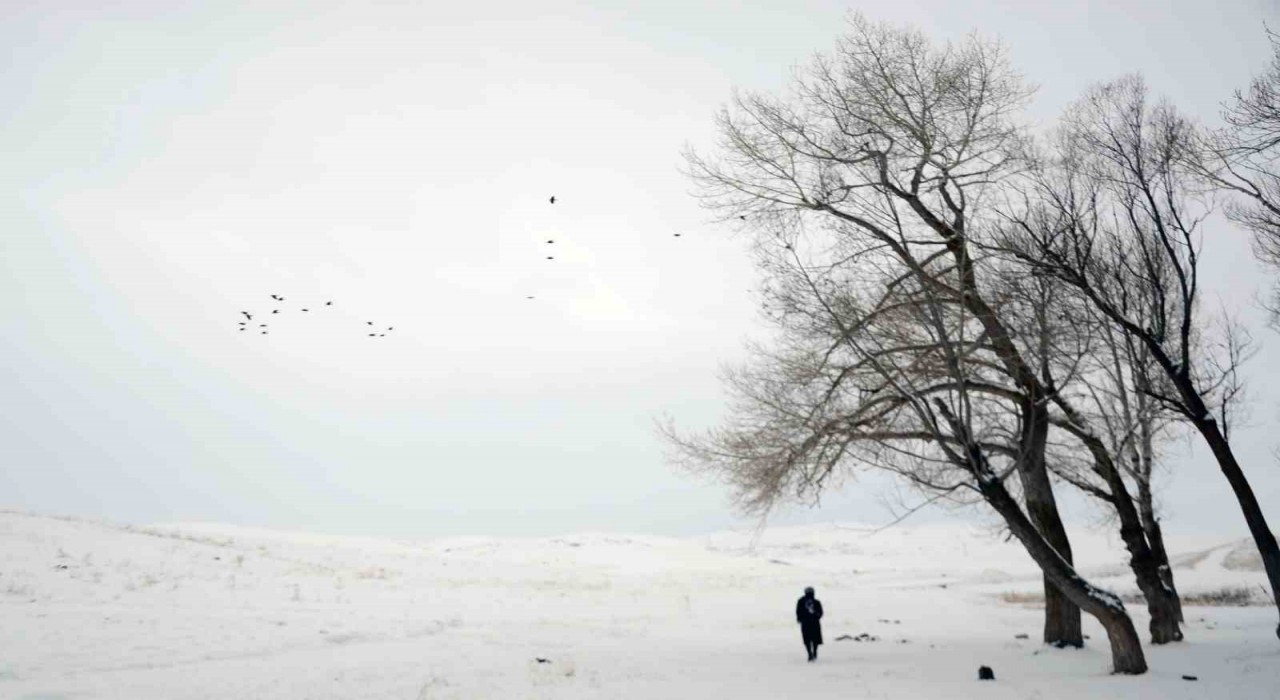 Termometreler Erzurum Tekmanda -25.2, Muğla Fethiyede 15.3ü gösterdi