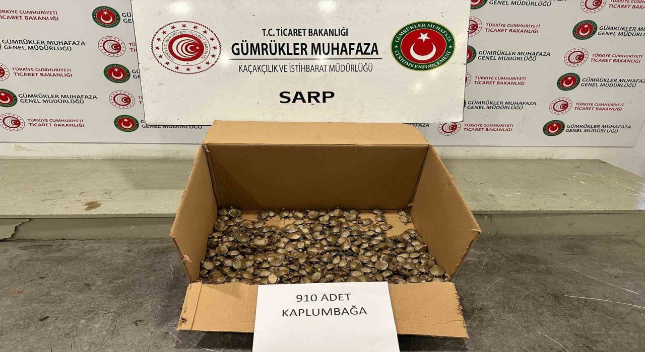 Ticaret Bakanlığı Gümrükler Muhafaza ekiplerinden su kaplumbağası operasyonu
