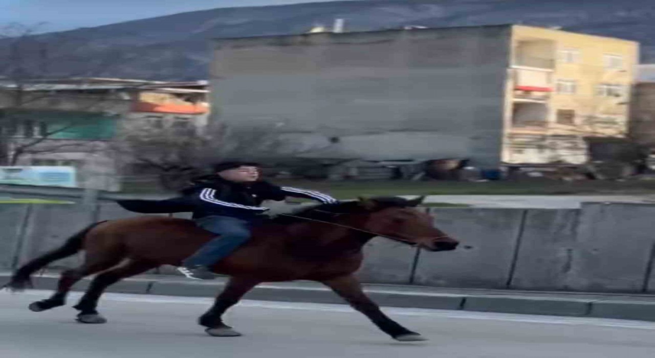 Trafiğe atla çıkan genç anayolda dört nala koştu