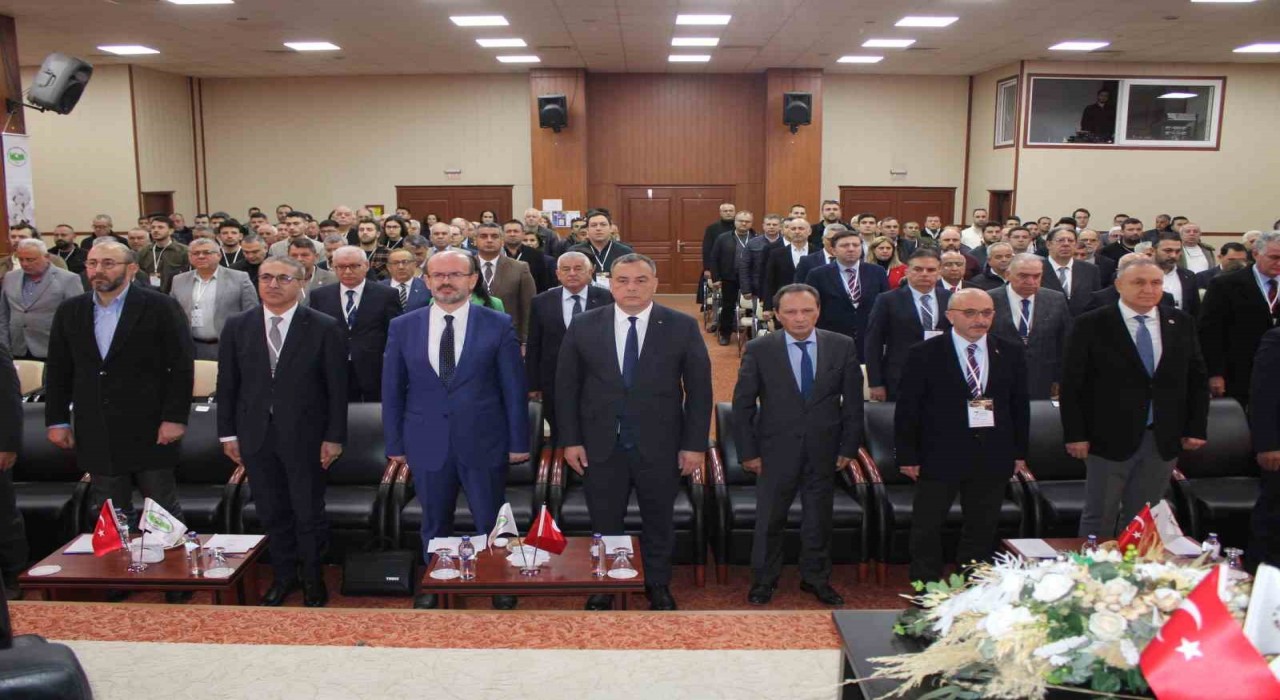 Türk pamuğunun geleceği Aydında masaya yatırıldı