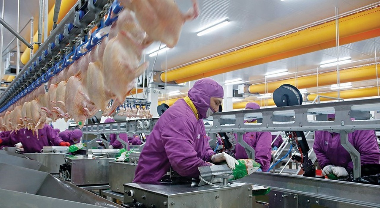 Türkiye ABye işlenmiş tavuk eti ihracatına hazırlanıyor