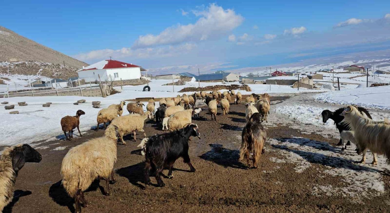 Türkiyenin en yüksek rakımlı köyü Kışkılı, dron görüntüleriyle hayran bıraktı