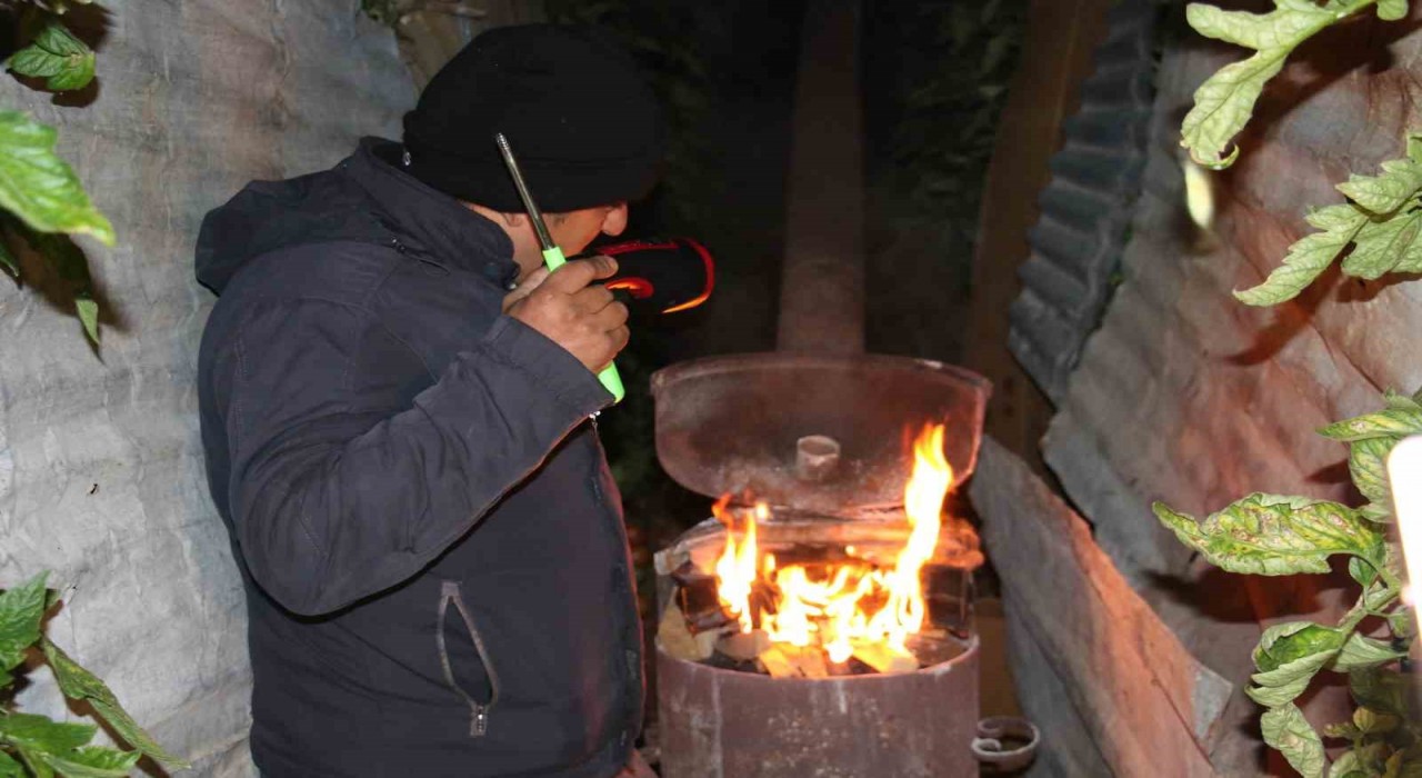 Türkiyenin örtü altı üretim merkezi Mersinde zirai don nöbeti başladı
