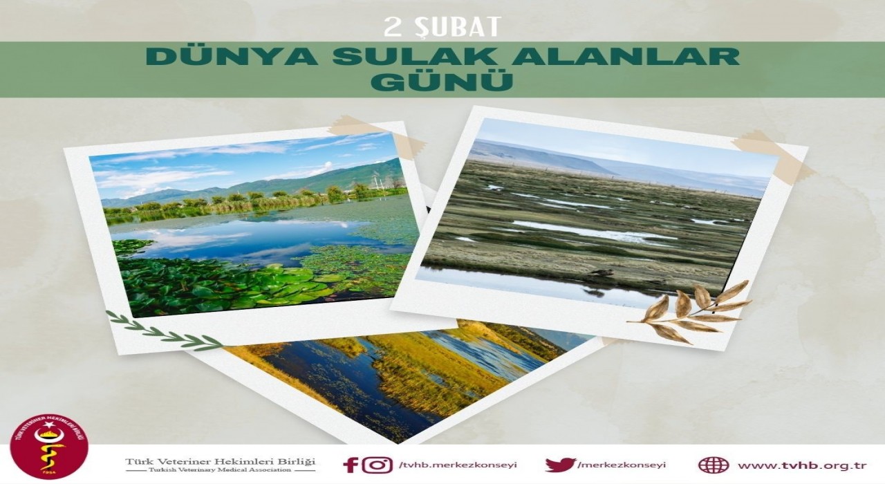 TVHBden Dünya Sulak Alanlar Gününe ilişkin açıklama