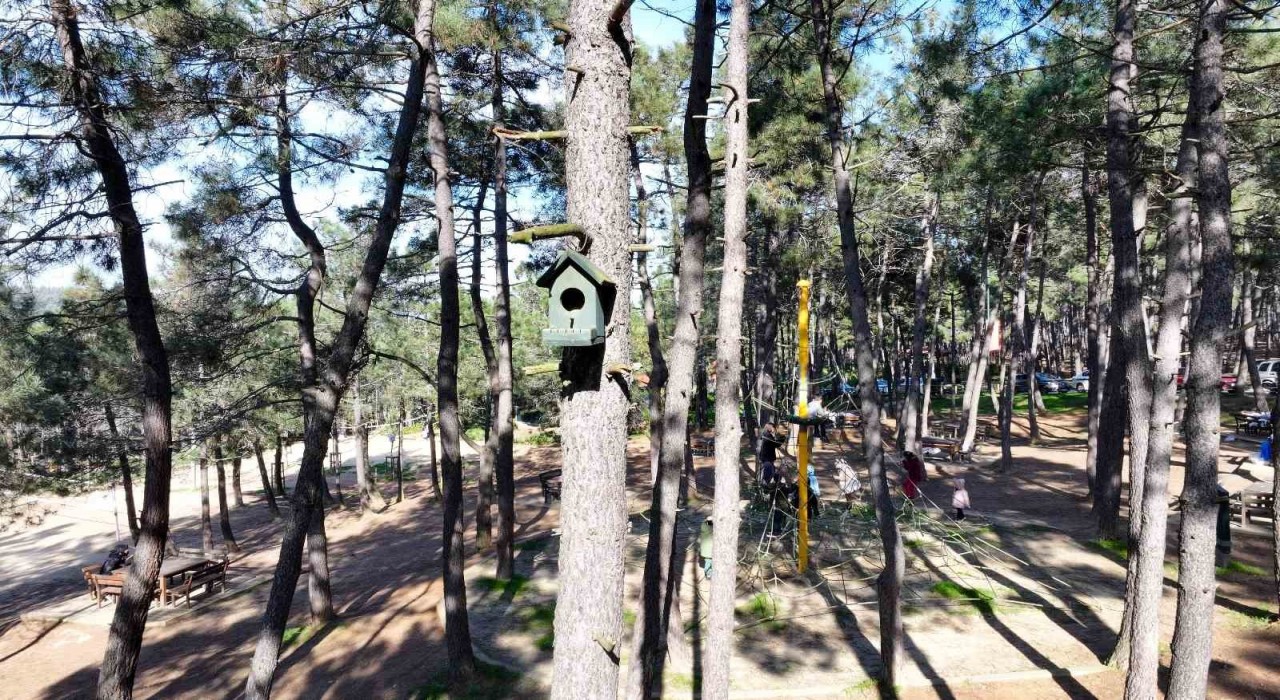 Ümraniyede doğaya en güzel katkı: ‘Kuş evleri
