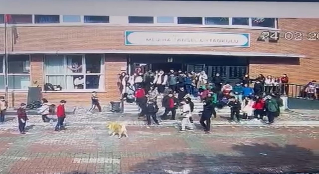 Ümraniyede okul bahçesinde köpek dehşeti: 5 öğrenciyi ısırdı