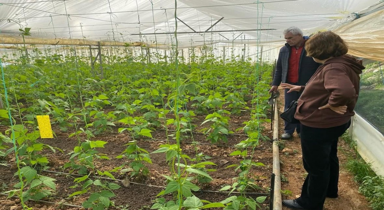 Üreticilere bitki sağlığı eğitimi verildi