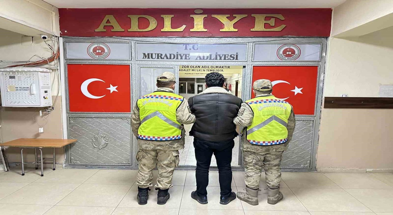 Vanda 5 düzensiz göçmen yakalandı