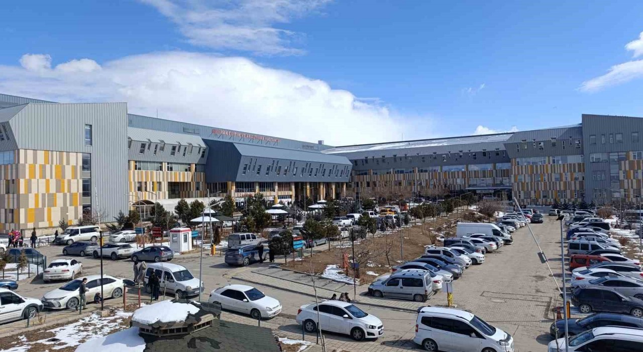 Vanda hasta sevk oranlarında büyük düşüş yaşandı