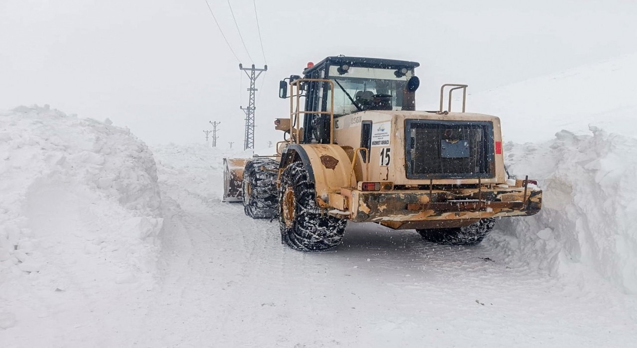 Vanda karla mücadele seferberliği