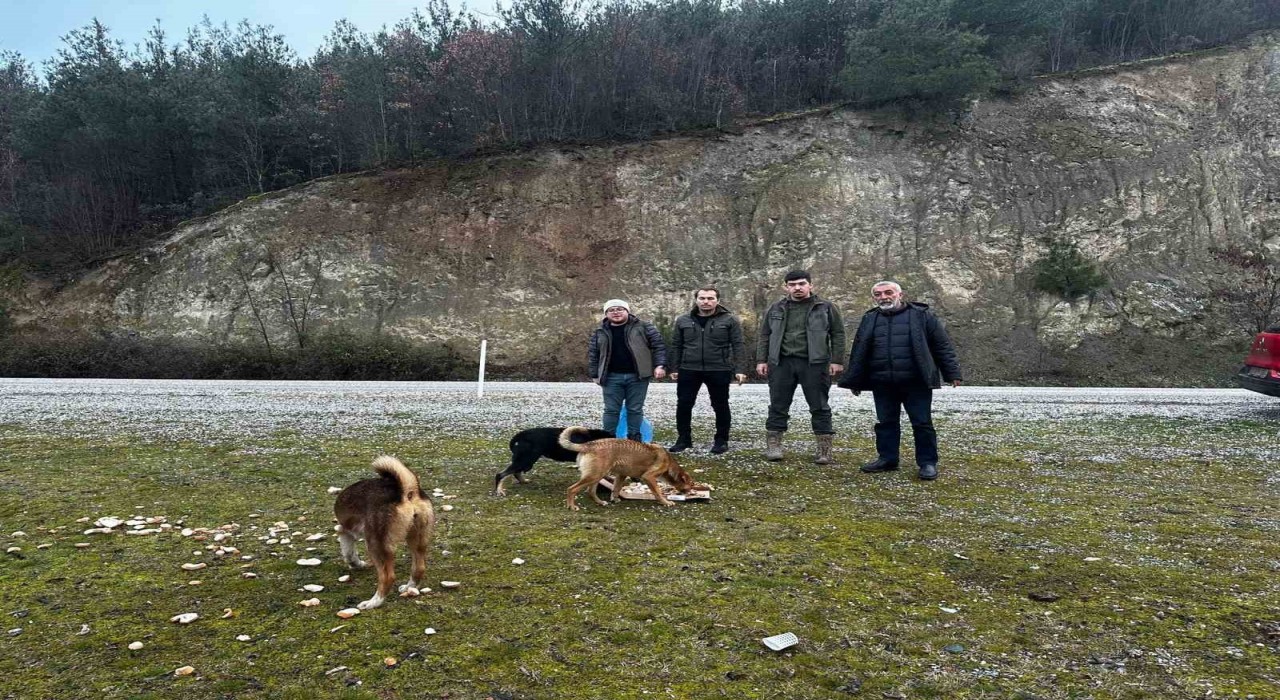 Vezirköprülü avcılar, yaban hayvanlarını besledi