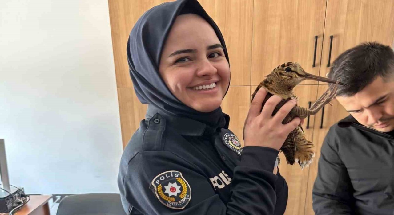 Yaralı orman çulluğuna polis şefkati