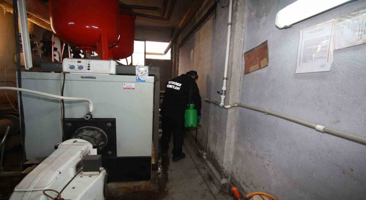 Yarıyıl tatilinde 890 okul ilaçlandı