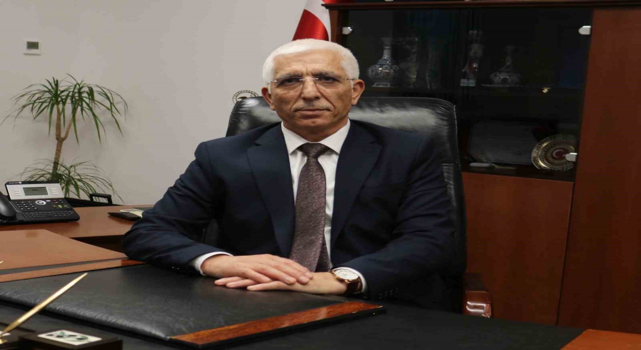 Zeytin üreticisine 800 milyon lira ödeme