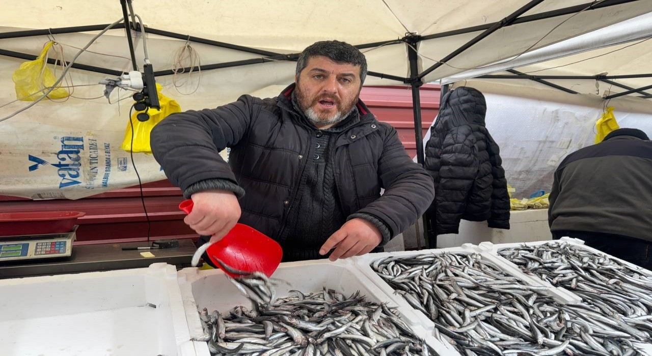 Zonguldakta hamsi 100 liradan alıcı buldu