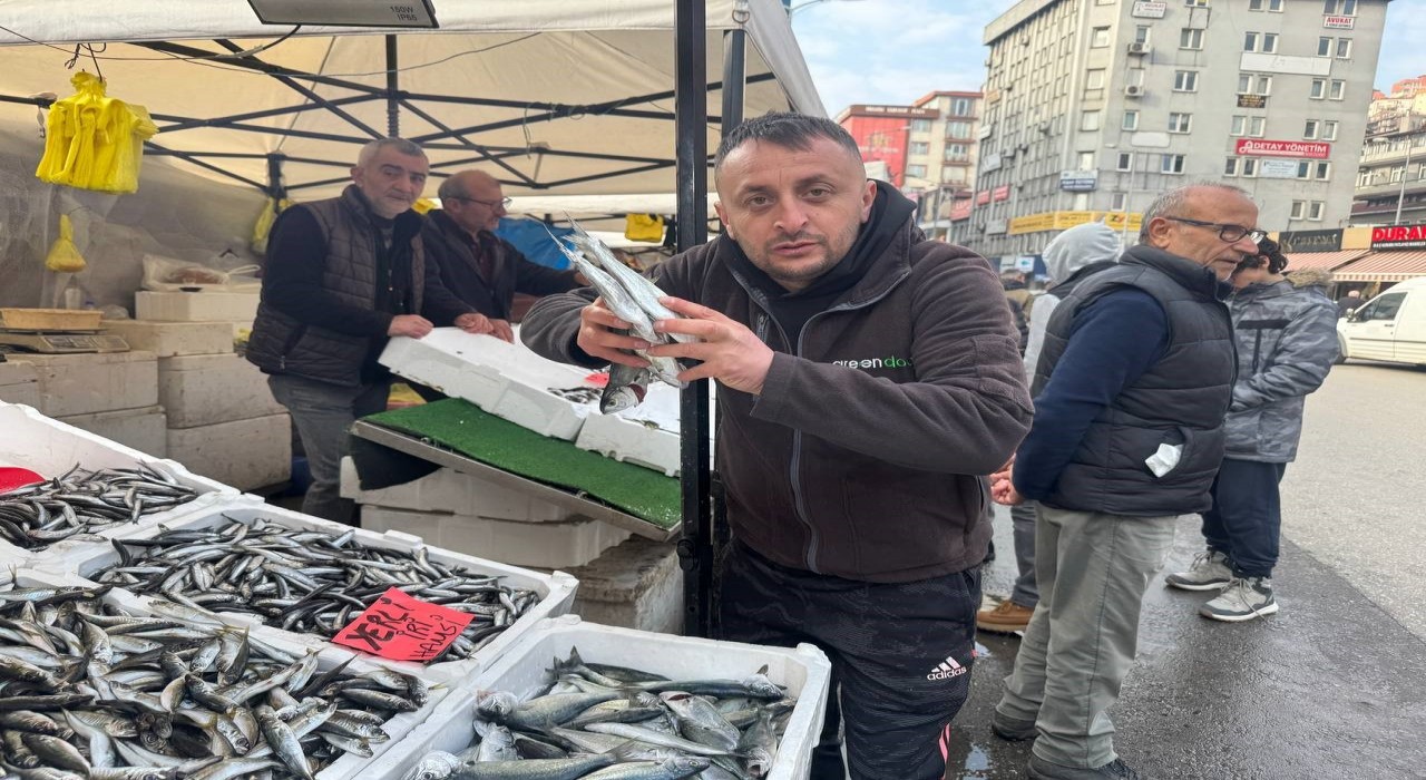 Zonguldakta istavrit tezgahları şenlendirdi