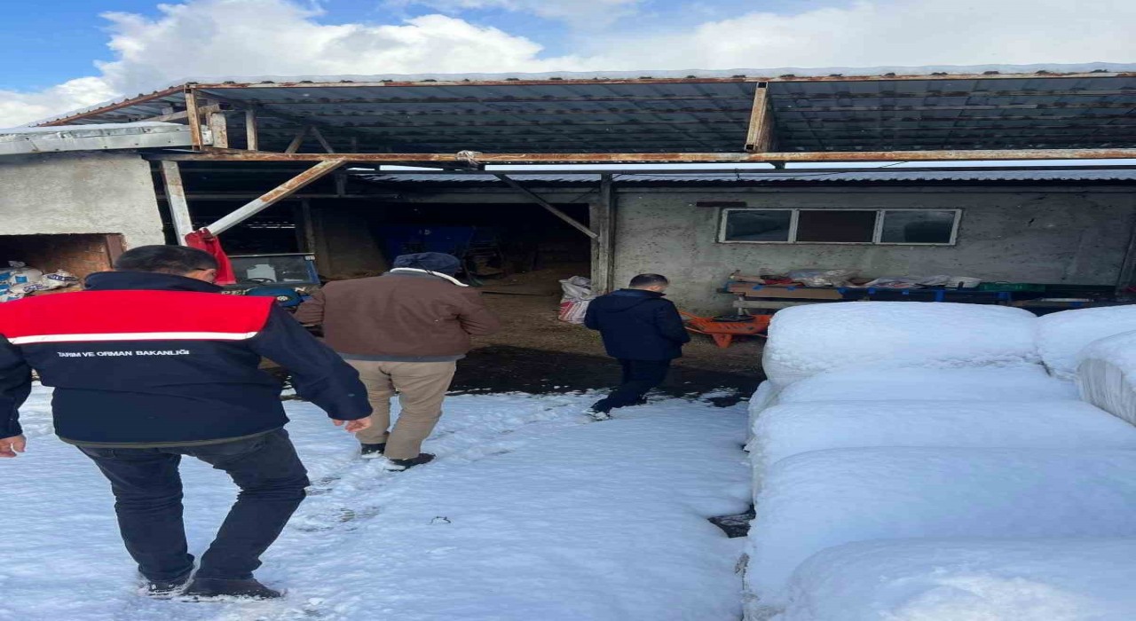 Zonguldakta şap nedeniyle bir köyde karantina uygulaması başlatıldı