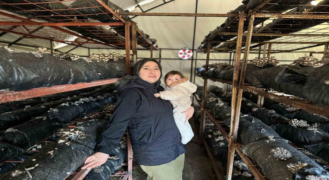 4 çocuk annesinin azmi: Yıllık 35 ton mantar üretiyor, talepleri karşılayamıyor