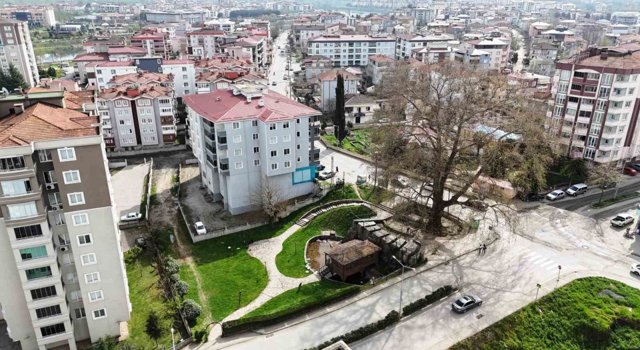 6 asırlık ağaç ve değirmen Çarşambanın merkezini süslüyor
