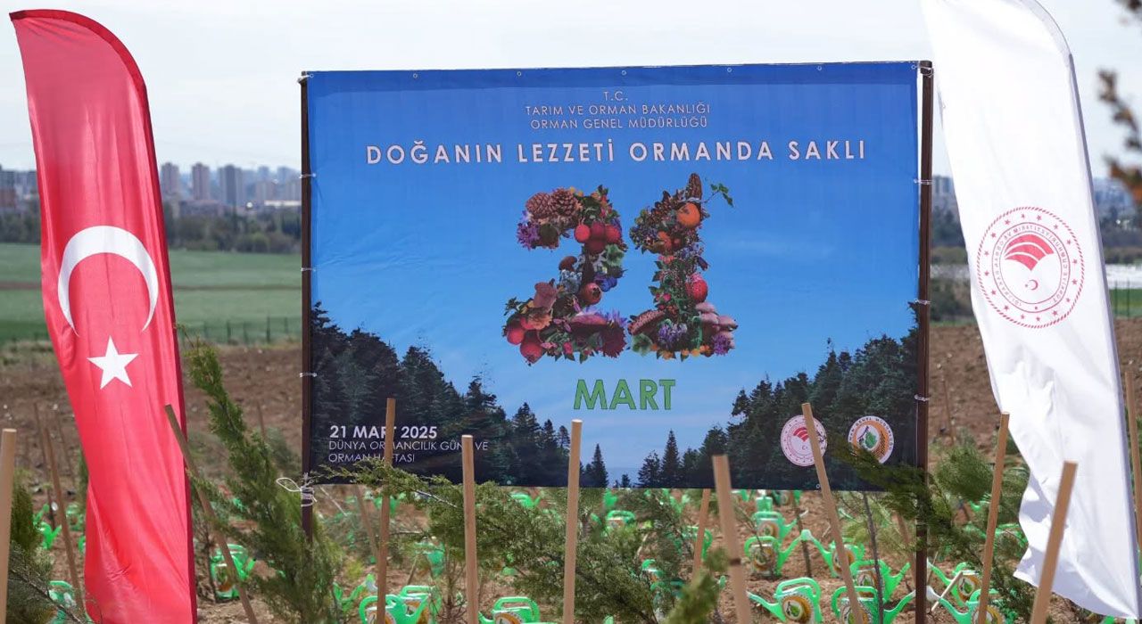 Adana’da Dünya Ormancılık Günü’nde Fidan Dikim Etkinliği Düzenlenecek