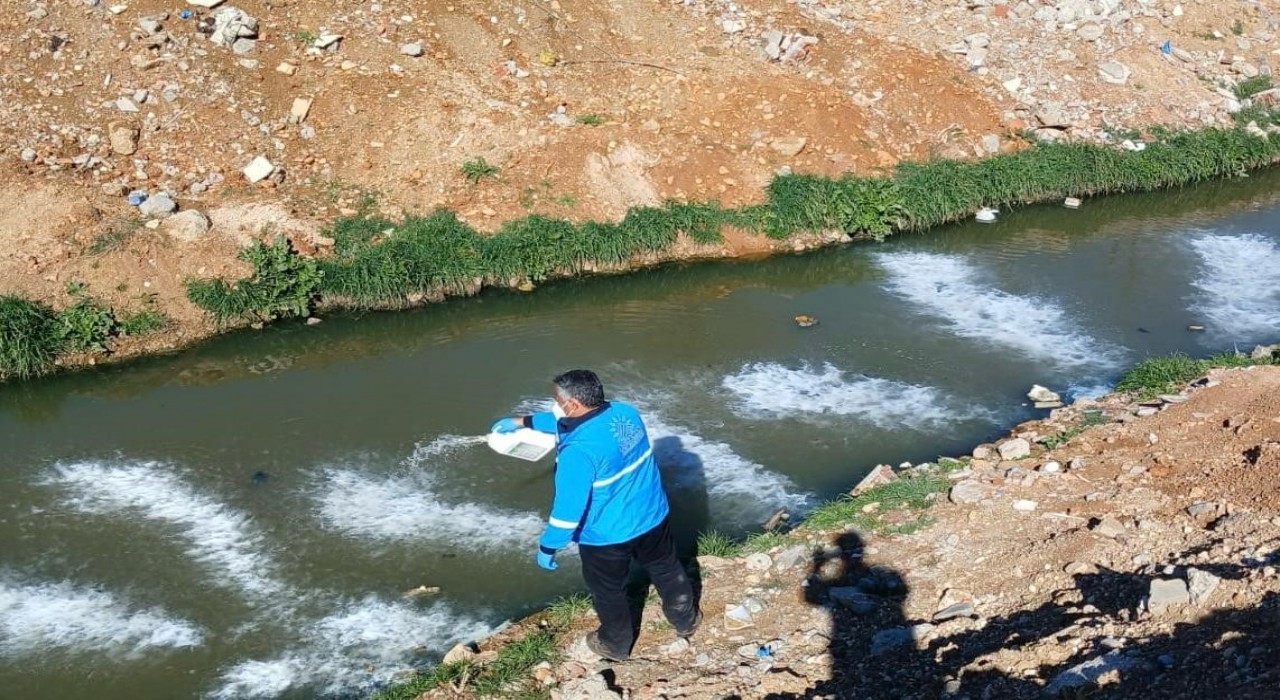 Adıyaman Belediyesinden larva mücadelesi