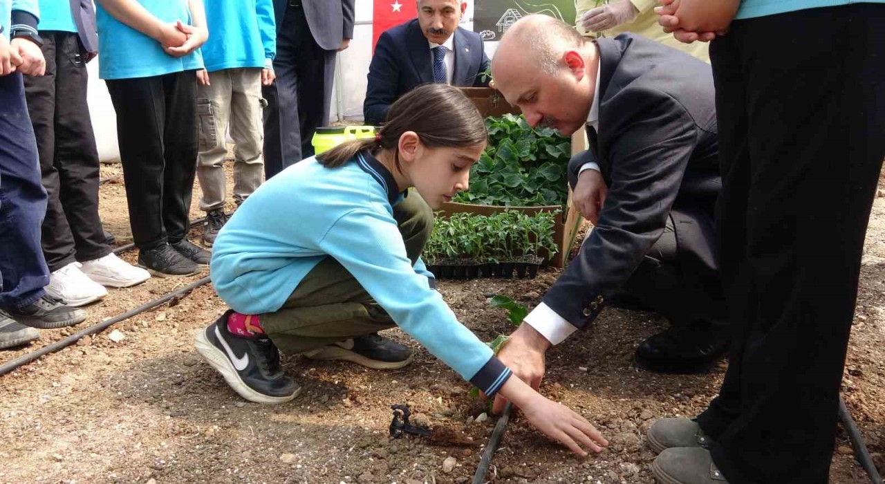 Adıyamanda okulun bahçesine kurulan serada sebzeler yetişecek
