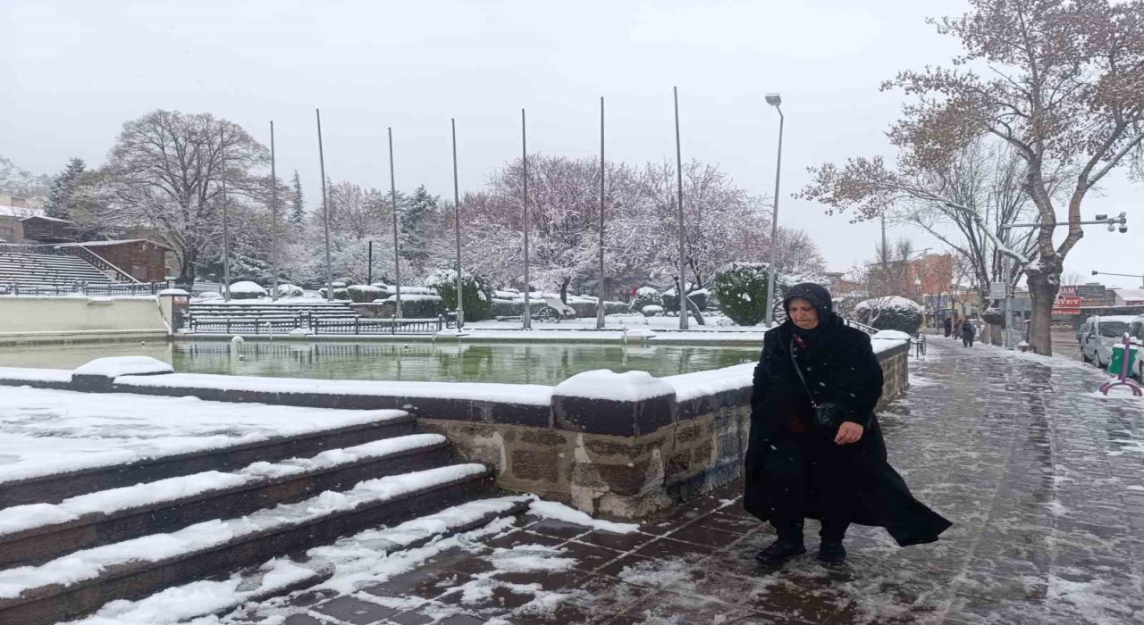 Afyonkarahisarda kar yağışı etkili oldu