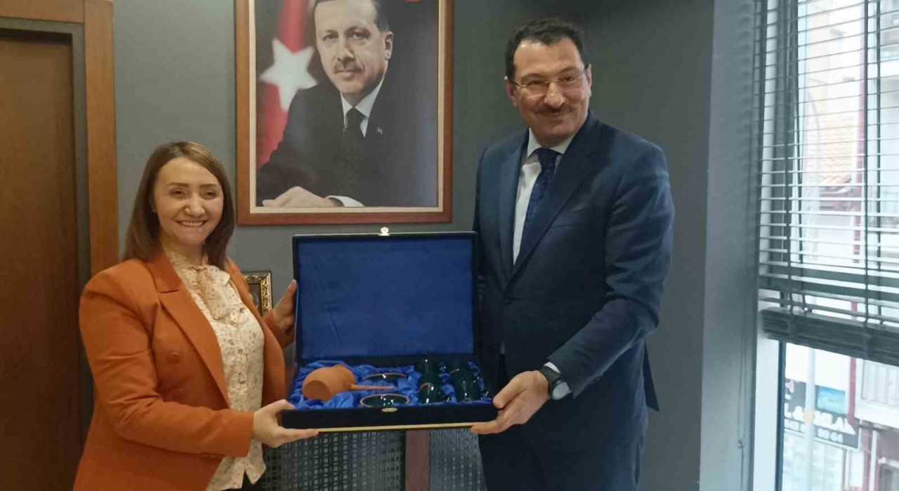 AK Parti Genel Başkan Yardımcısı Ali İhsan Yavuzun Pazaryeri ziyareti