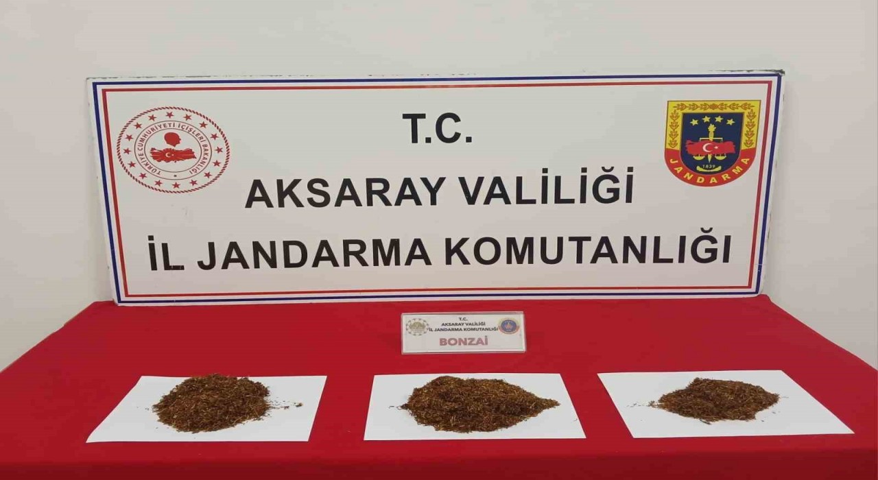 Aksarayda bonzai ile yakalanan 2 şahıs tutuklandı