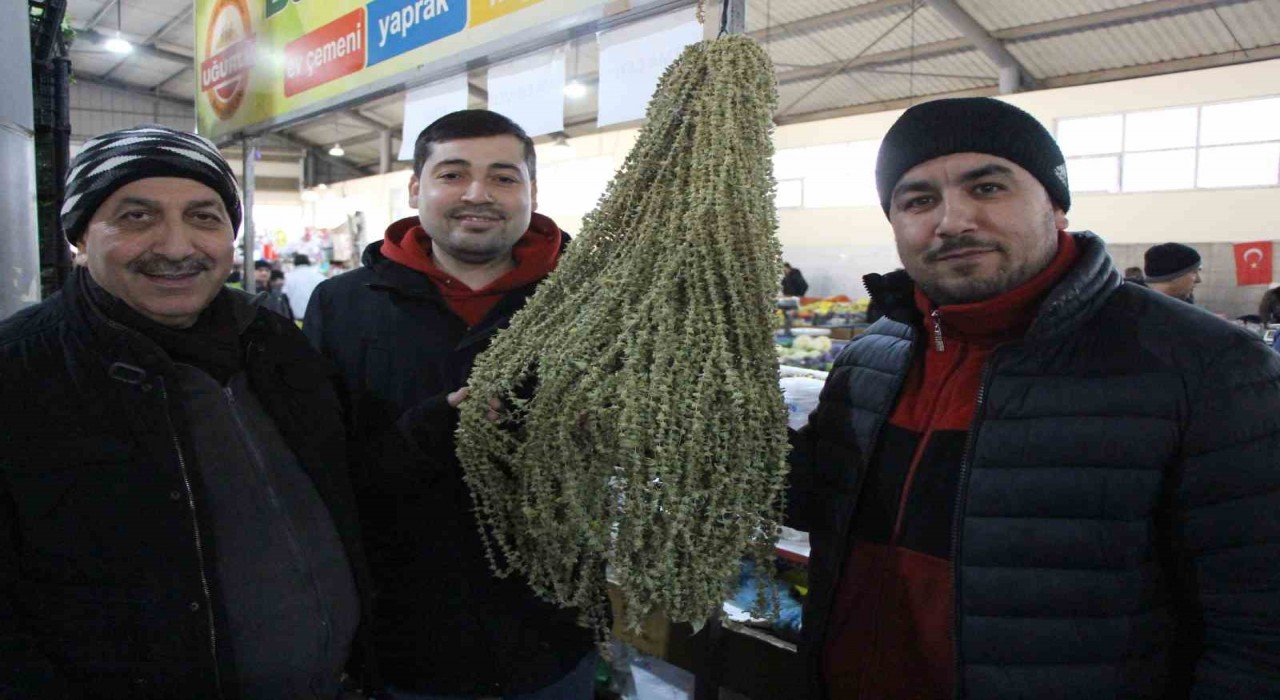 Amasyada çiçek bamyanın fiyatı gram altını geçti, kilosu 3 bin 500 TLden satılıyor