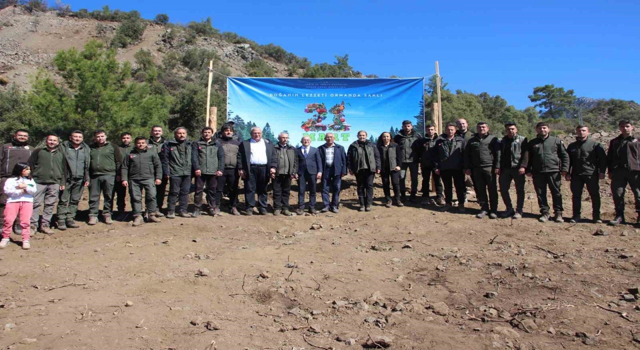 Antalyada 700 fidan toprakla buluştu