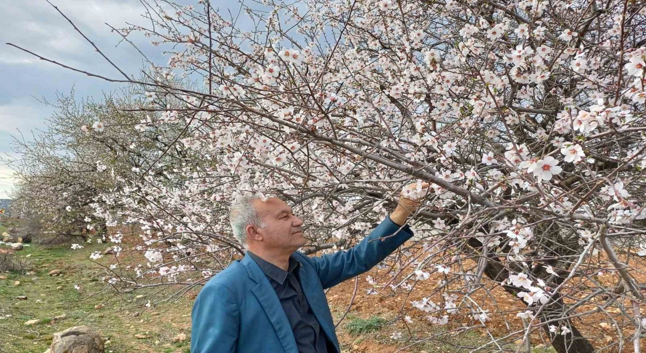 Arabana bahar erken geldi