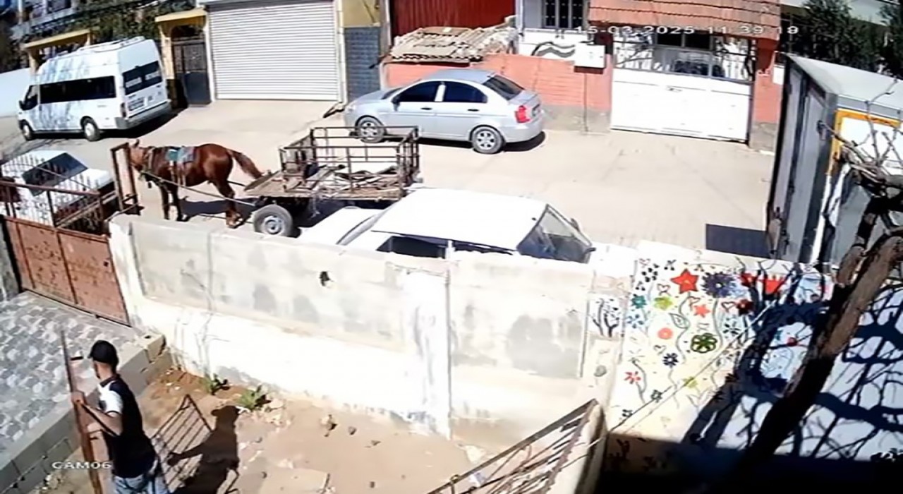 At arabasıyla geldi, demir korkuluğu alarak kayıplara karıştı