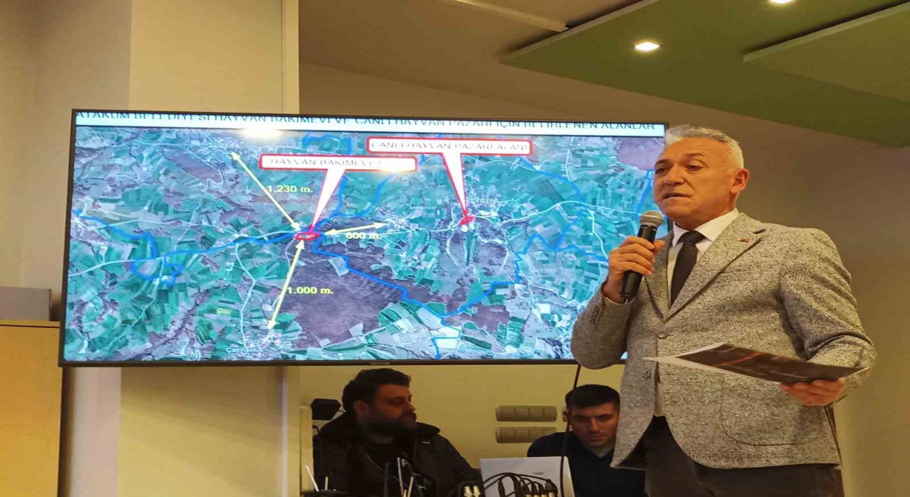 Atakum meclisinde gündem ‘hayvan barınağı